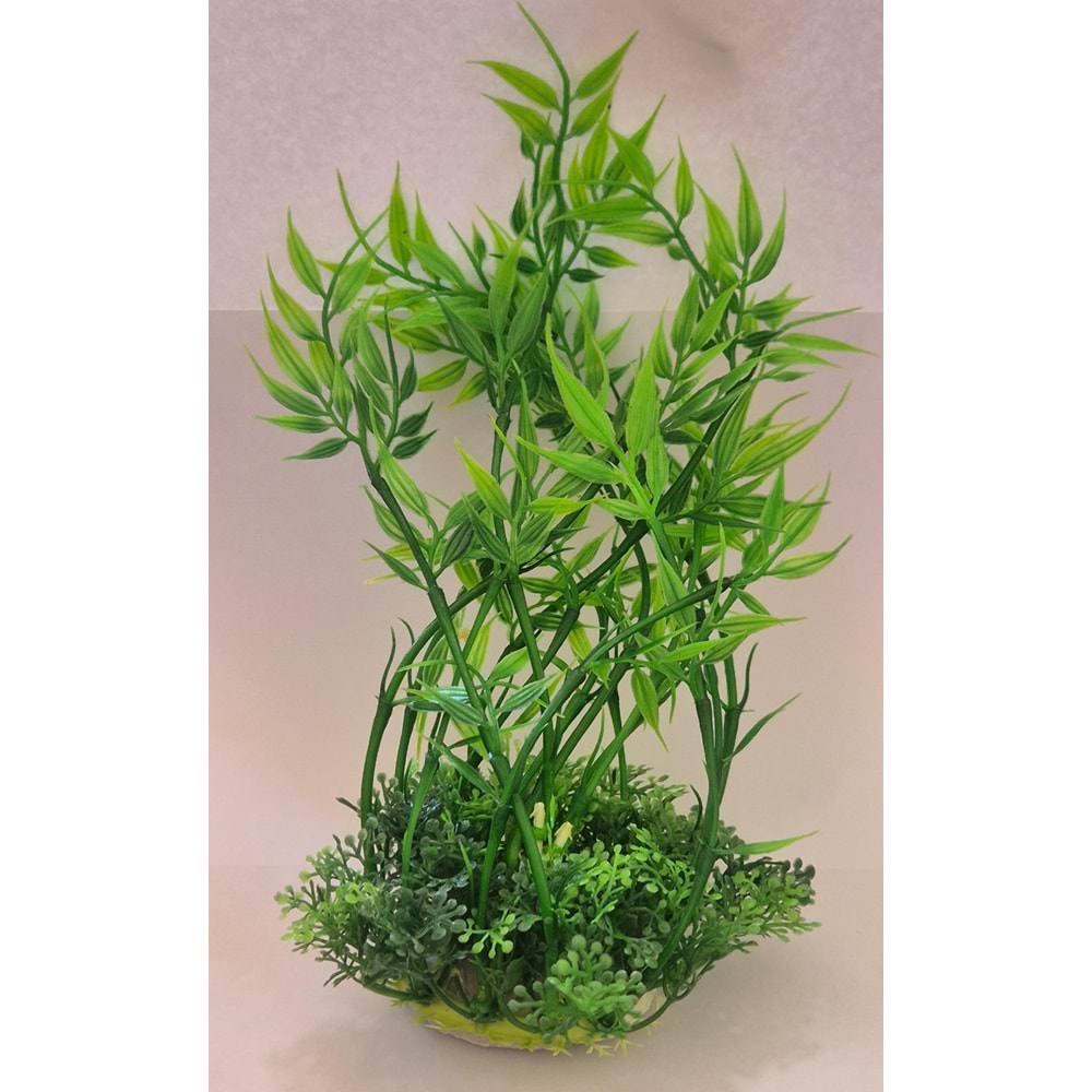 GENİŞ AKVARYUM BİTKİSİ (Z-M896)