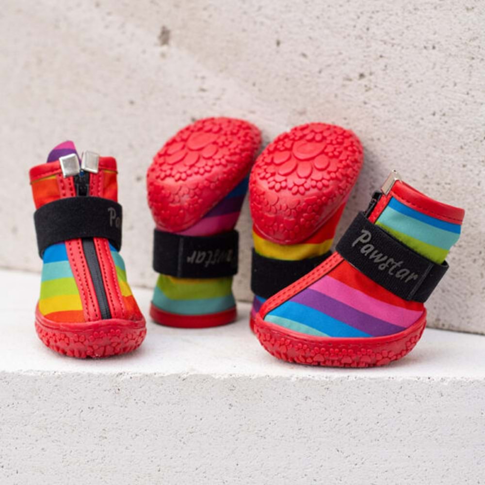 PAW STAR DOG SHOES