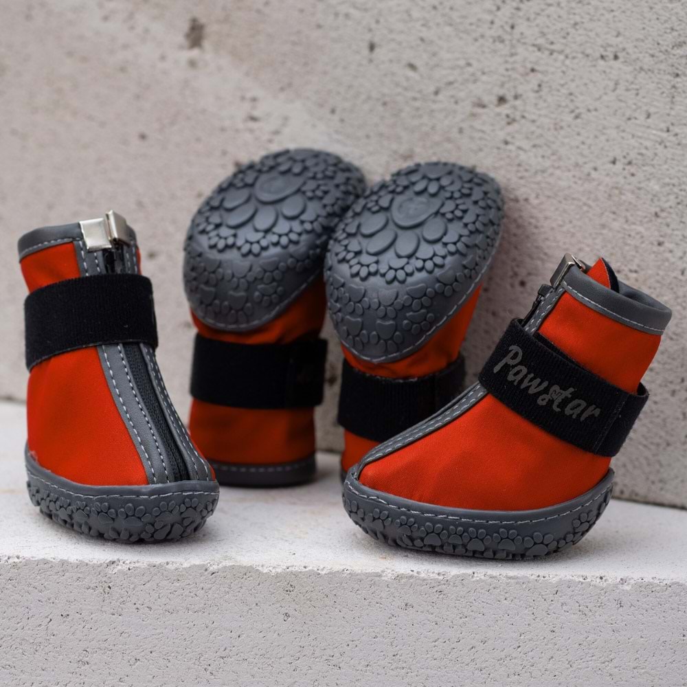 PAW STAR DOG SHOES