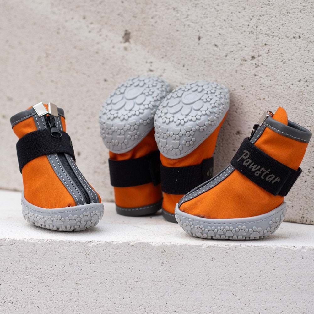 PAW STAR DOG SHOES