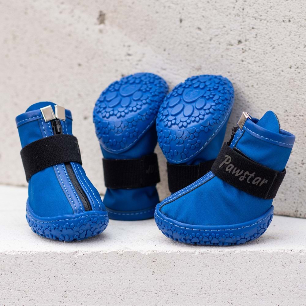 PAW STAR DOG SHOES