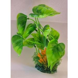 GENİŞ YAPRAKLI AKVARYUM BİTKİSİ (Z-M894)