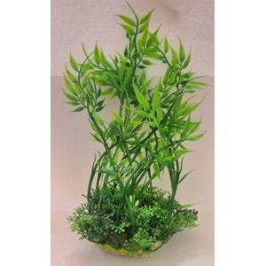 GENİŞ AKVARYUM BİTKİSİ (Z-M896)