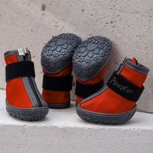 PAW STAR DOG SHOES