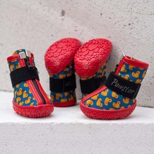 PAW STAR DOG SHOES