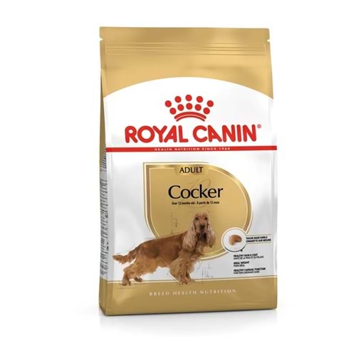 ROYAL CANIN COCKER ADULT 3 KG KÖPEK MAMASI