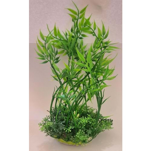 GENİŞ AKVARYUM BİTKİSİ (Z-M896)