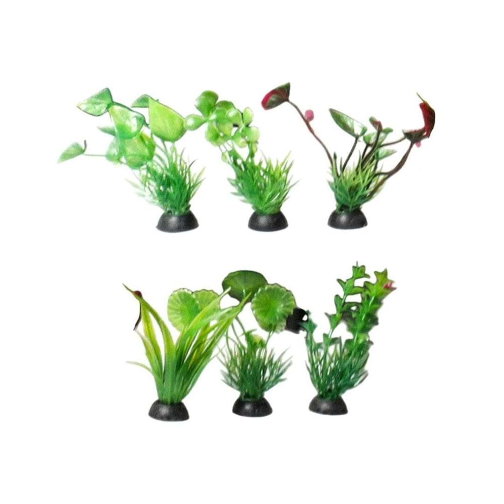 KÜÇÜK BOY AKVARYUM BİTKİSİ (Z-P301-P306)