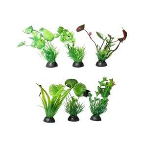 KÜÇÜK BOY AKVARYUM BİTKİSİ (Z-P301-P306)