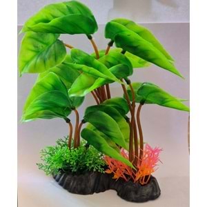 BÜYÜK GENİŞ YAPRAKLI AKVARYUM BİTKİSİ (Z-T809)