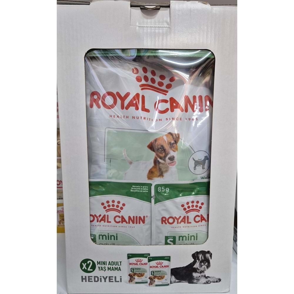 MİNİ ADULT BUNDLE